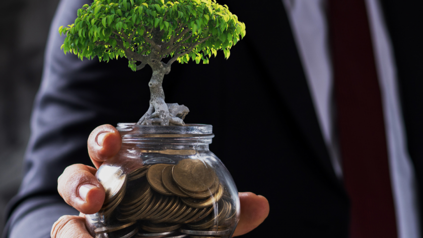 Raising Capital